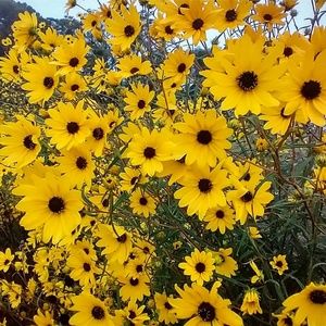 Meet your Posher, Will